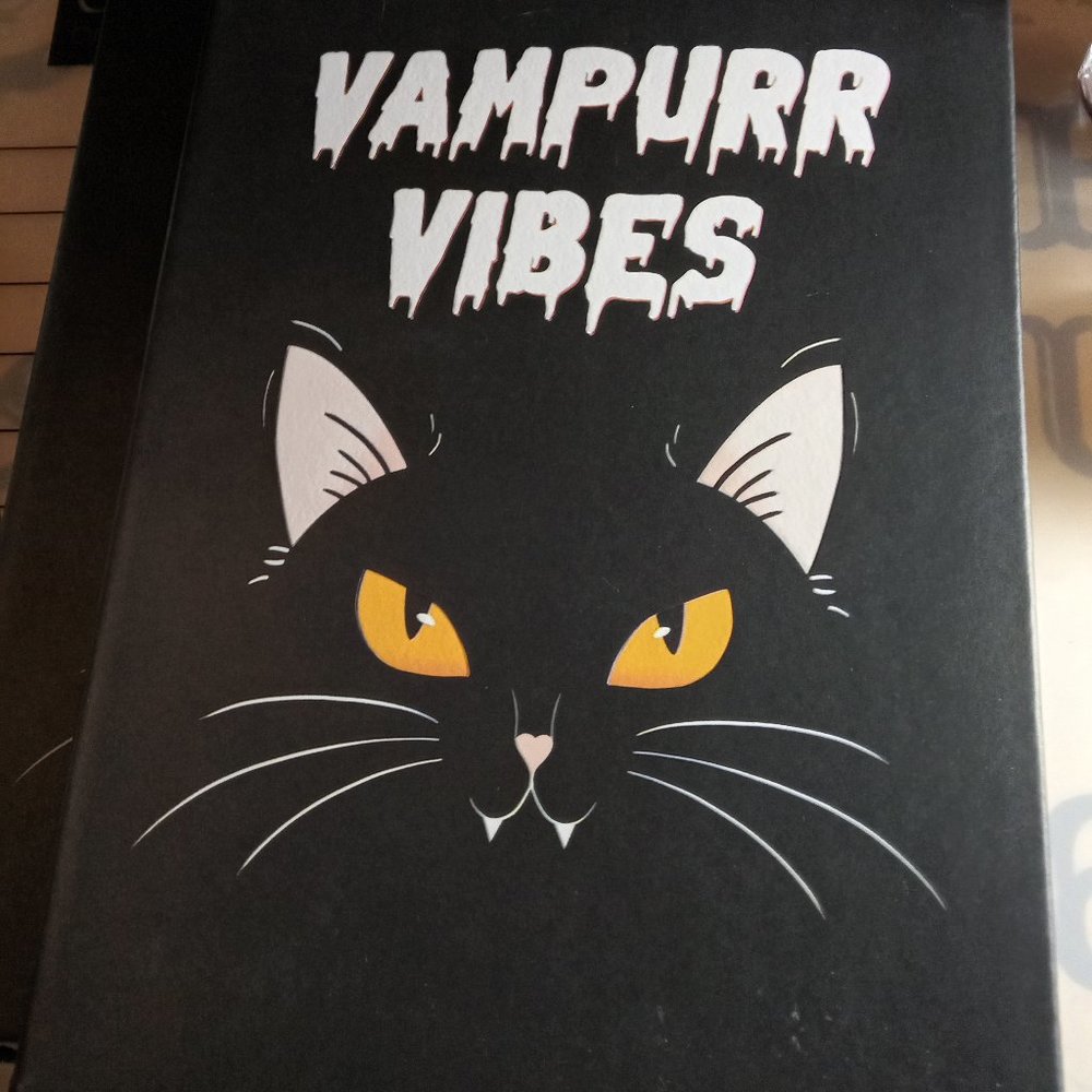 Faux leather bound journal from Torrid